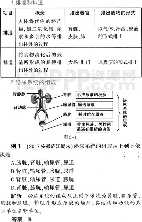 初一生物人教版七年级下册第5章《人体内废物的排出》教材全解 旷野小屋