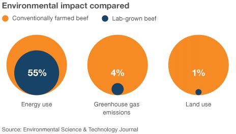 World S First Lab Grown Burger Is Eaten In London BBC News