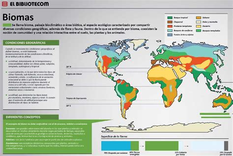 Bioma Tipos Qu Es Ubicaci N Y Sus Caracter Sticas Ovacen