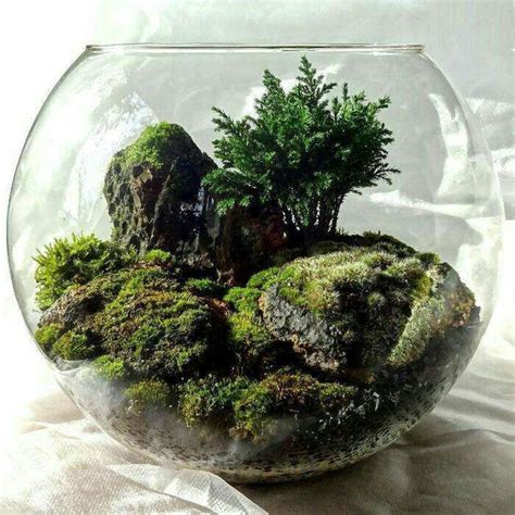 Awesome Bonsai Terrarium On The Jars 24 Terrarium Bottle Garden