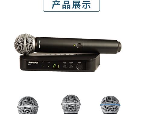 Shure舒尔 Blx24sm58 Beta58a Pg58专业舞台演出无线手持话筒虎窝淘