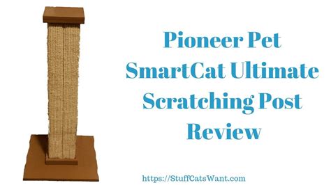 Pioneer Pet Smartcat Ultimate Scratching Post Review Youtube