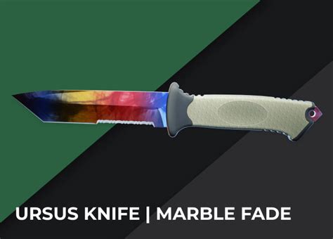 The Best Ursus Knife Skins In CS2 DMarket Blog