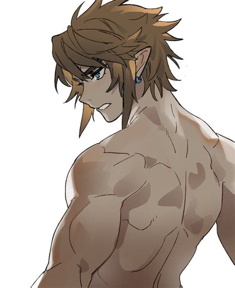 Share 42 Kuva Twilight Princess Link Shirtless Abzlocal Fi