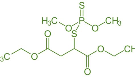 Difference Between Organic and Inorganic Phosphate | Definition, Examples, Uses