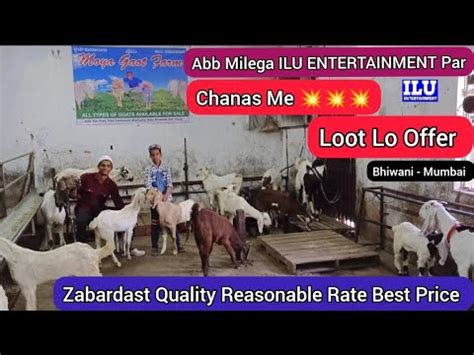 Zabardast Quality Reasonable Rate Best Price Chanas Me Loot Lo Offer