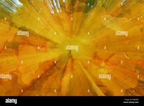 zooming  res stock photography  images alamy