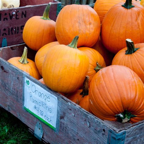 French Fridays Favourite French Pumpkin Recipes Eat Live Travel