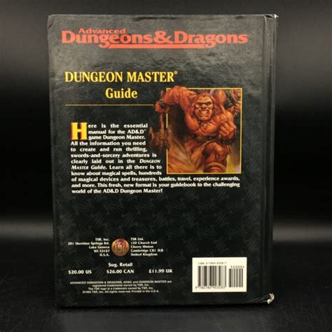 Dungeon Master Guide 2160 Minor Damage 110260 Mindtaker Miniatures