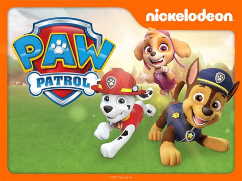 Prime Video Paw Patrol Season Atelier Yuwaciaojp