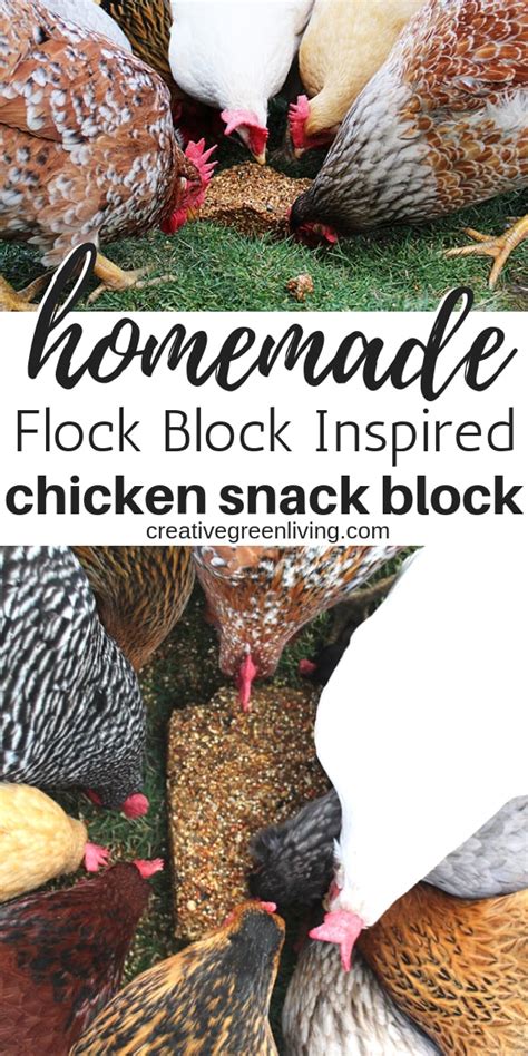 How To Make A Snack Block For Your Flock A Diy Flock Block Copycat