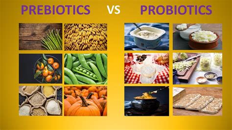 PREBIOTICS Vs PROBIOTICS DIFFERENCES YouTube