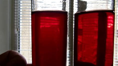 🔴🔴Результат осветления вина. Вино после оклейки желатином. Wine ...