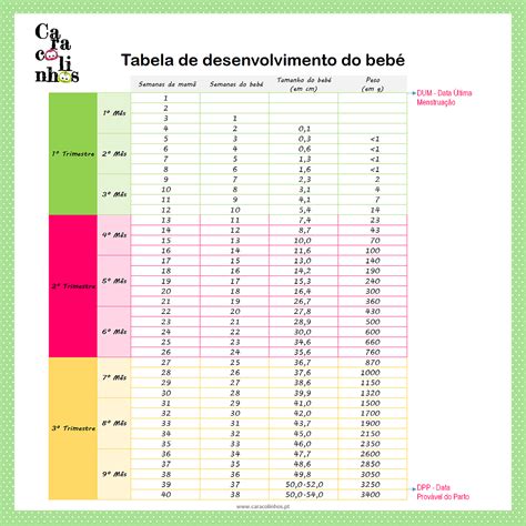 Tabela De Pesos Bebe Sololearn