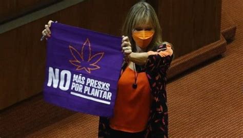 Diputada Ana María Gazmuri Chile es un país cannábico gústele a