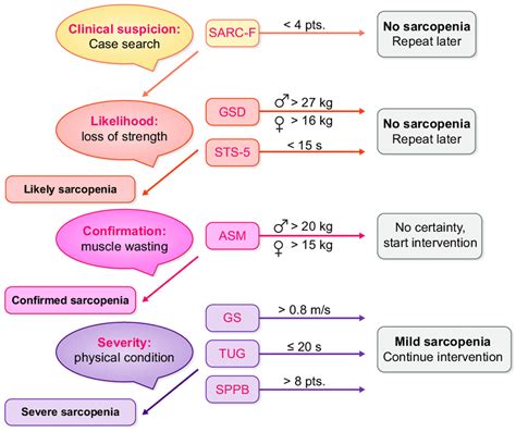 Sarcopaenia Diagnostic Tree According To Ewgsop2 Diagnostic Variables