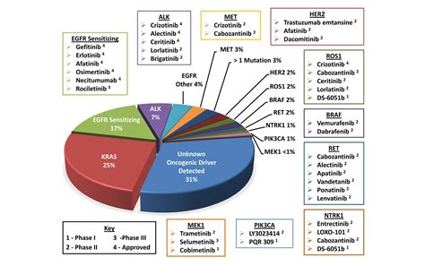 Update To The “molecular Testing Guideline For Selection Of Lung Cancer Patients For Egfr And