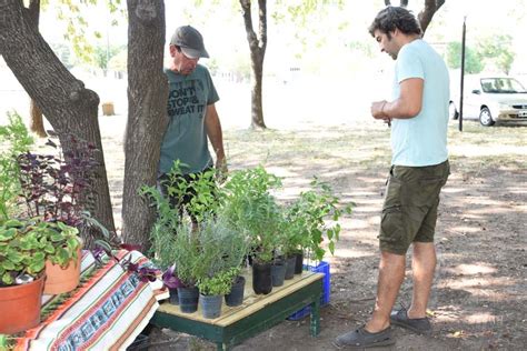 La Feria Ecofines Se Traslada El Pr Ximo S Bado Al Play N De La