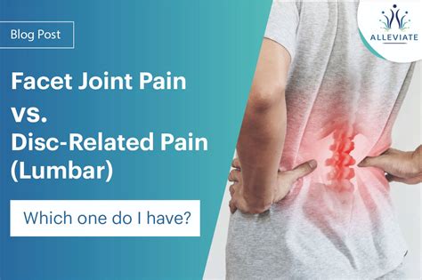 Facet Joint Pain Vs Disc Related Pain Lumbar Alleviate Pain Clinic