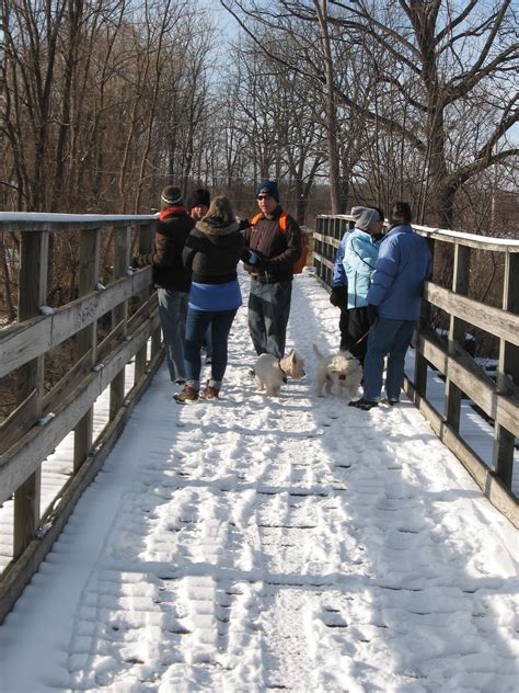 Ontario Pathways Rail Trail Sunday March 2 200pm Springwater Trails