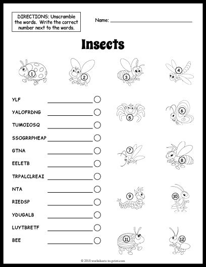 Color The Insects Worksheet Twisty Noodle Worksheets Library