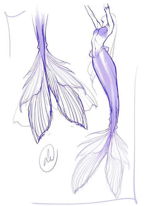 Mermaid Tail Drawing Artofit