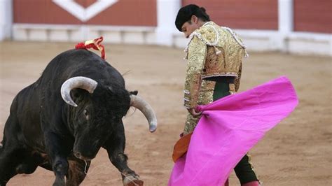 Corridas Y Peleas De Gallos No Pueden Ser Consideradas Patrimonio