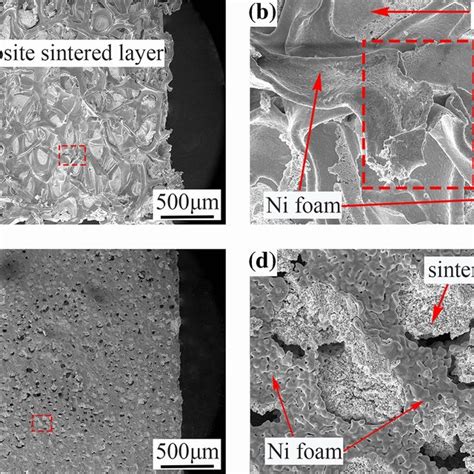 SEM Shear Fracture Morphology Of The Cu Foam Nano Ag Composite Sintered