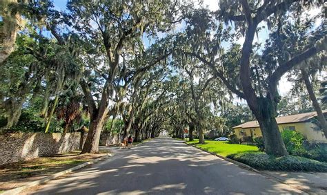 House For Sale Magnolia Ave St Augustine Fl At Joycejreeveso Blog