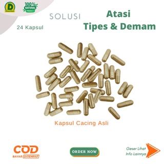 Jual Kapsul Cacing Untuk Tipes Obat Tipes Dan Demam Manjur KAPSUL