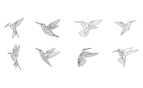 Hummingbird Vector Art, Icons, and Graphics for Free Download