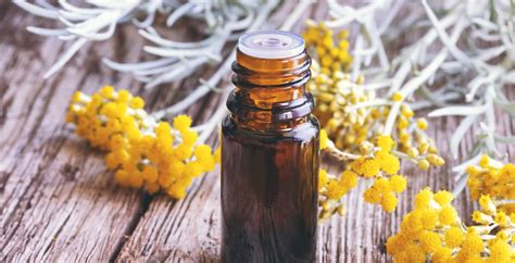 Helichrysum Essential Oil Benefits The Skin Gut Heart And More Dr Axe