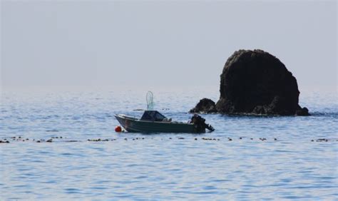 Fish Rock Beach At Anchor Bay Campground In Gualala Ca California