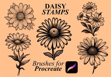 60 Digital Daisy Stamps For Procreate Etsy