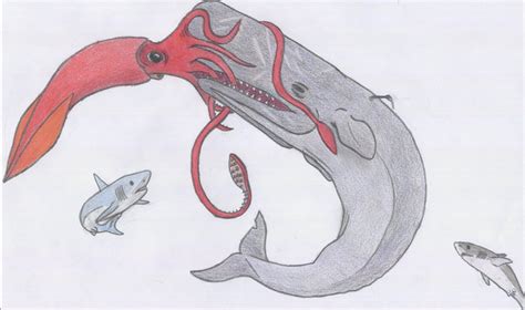 Sperm Whale V S Giant Squid By Dark Hyena On Deviantart