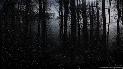 8k Dark Forest Wallpapers Top Free 8k Dark Forest Backgrounds