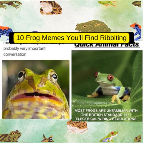 10 Frog Memes You'll Find Ribbiting