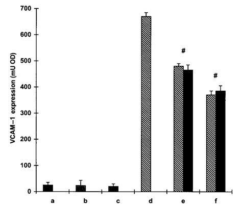 Effect Of The Addition Of Resveratrol To Human Saphenous Vein