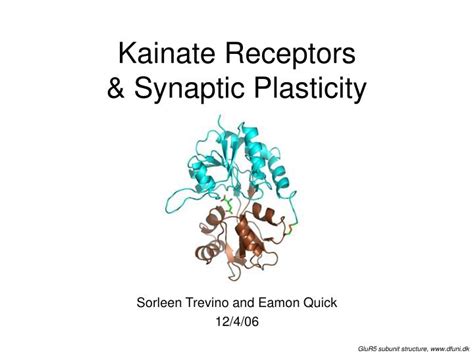 Ppt Kainate Receptors Synaptic Plasticity Powerpoint Presentation