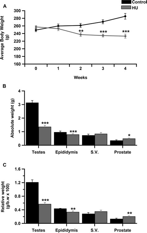 Effect Of Hindlimb Unloading On Body Weight And Gonadosomatic Indices Download Scientific