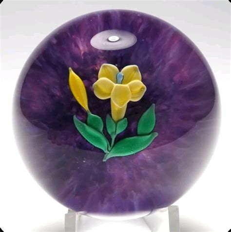 Yellow Carolina Jessamine Flower Paperweight With Leaves And Bud