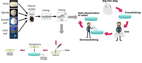 Polymers Free Full Text Safely Dissolvable And Healable Active