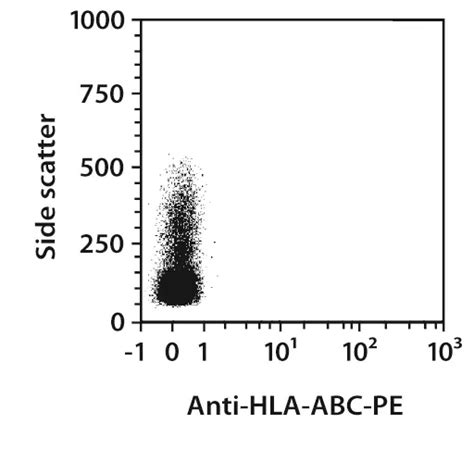 Hla Abc Antibody Anti Human Reafinity™ Miltenyi Biotec France