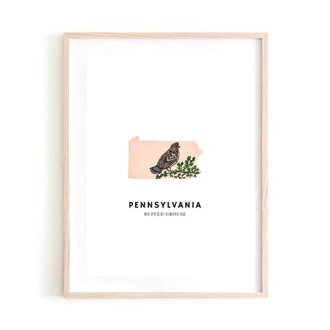 Pennsylvania State Bird Art Print Etsy