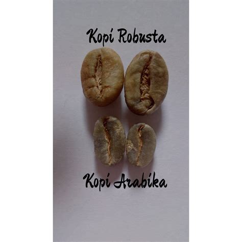 Biji Kopi Arabica Robusta: Biji kopi arabica dan robusta / kopi arabica robusta