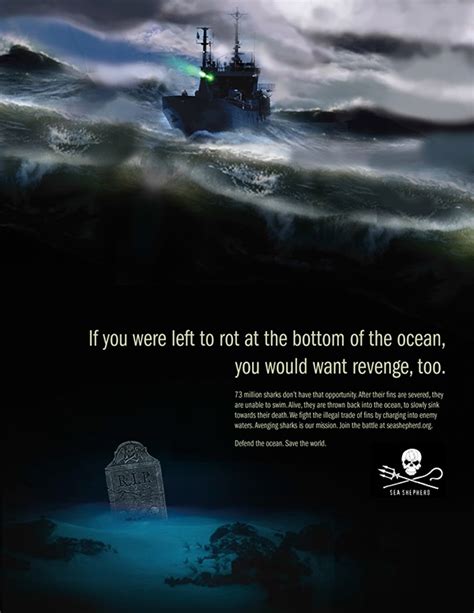 Sea Shepherd PSA Campaign on Behance