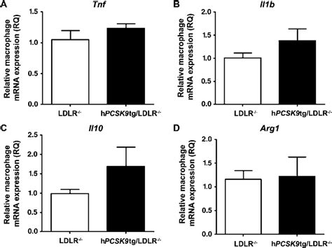 Pcsk Increase In Macrophage Inflammation Is Ldlr Dependent Mpms Were