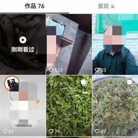 安康一男子竟在抖音晒出这种东西？盘他！ 保护 岚皋 捕捞