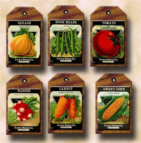 VeGeTaBLe SeeD PaCkETs Primitive ViNtAgE ArT Tags Labels Cards