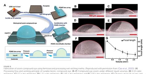 Figure 8 From Miniature Bioinspired Artificial Compound Eyes